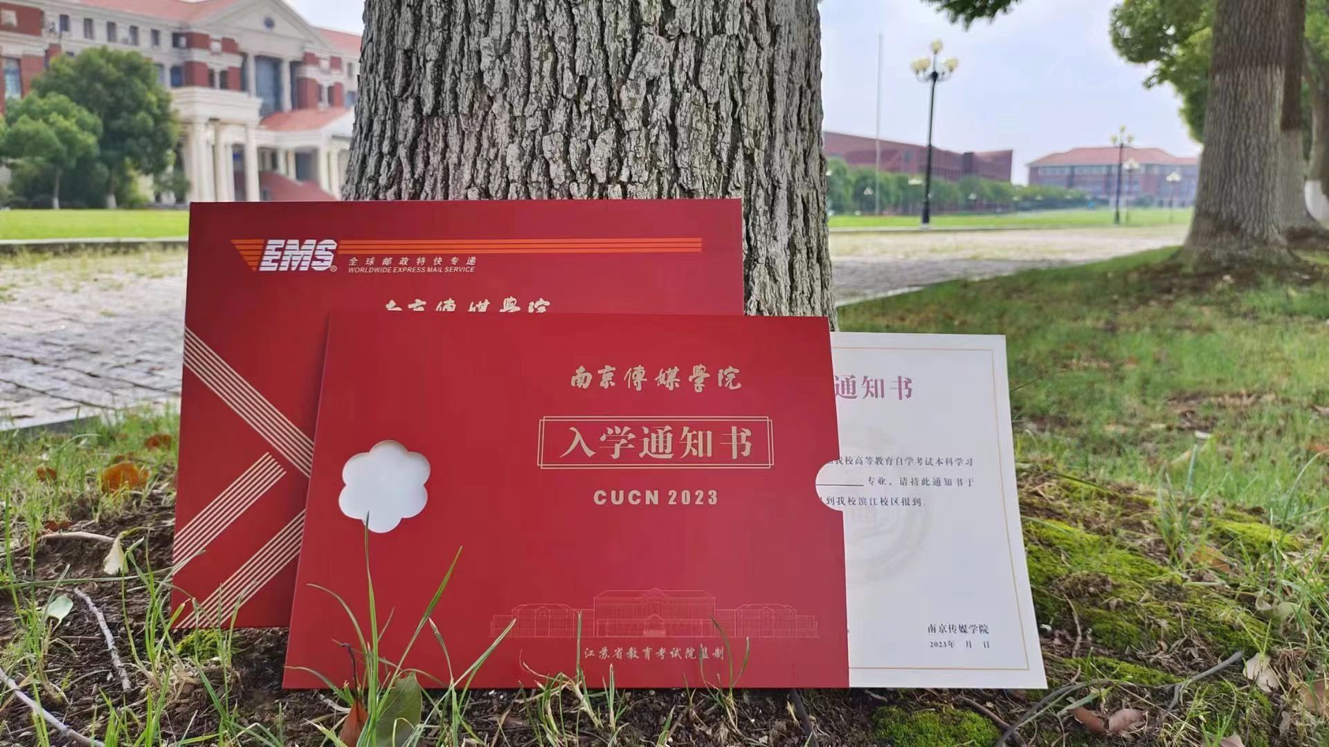 2023-07-25T09:01:50.png