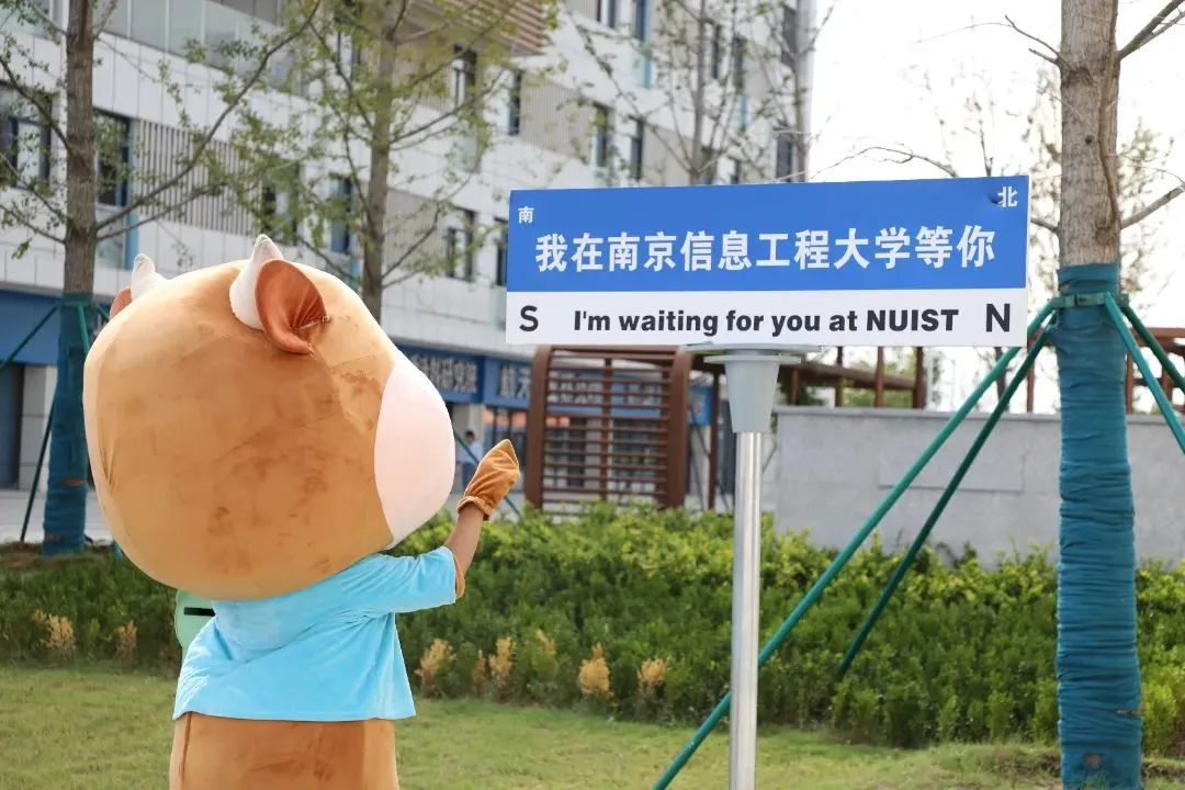 南京信息工程大学专接本，24年确认开设软件工程专业！