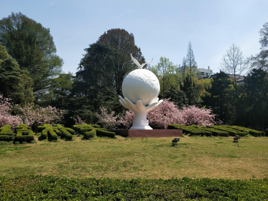 2024-03-19T06:19:43.png