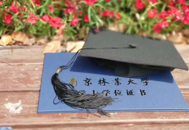 南京市中心本部就读的双一流院校--南京林业大学专接本介绍