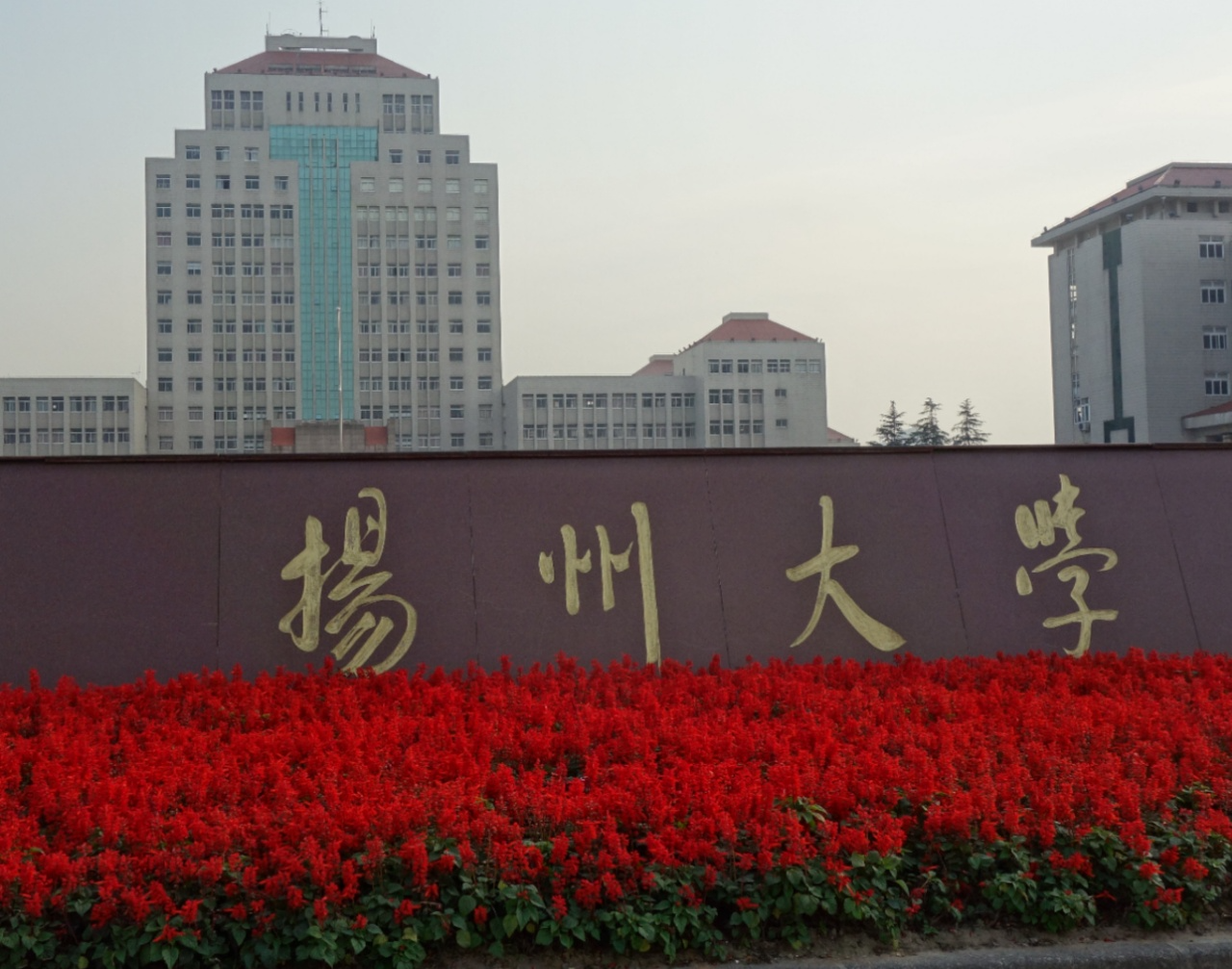 专业最全、学费最低、环境最好的专接本院校！