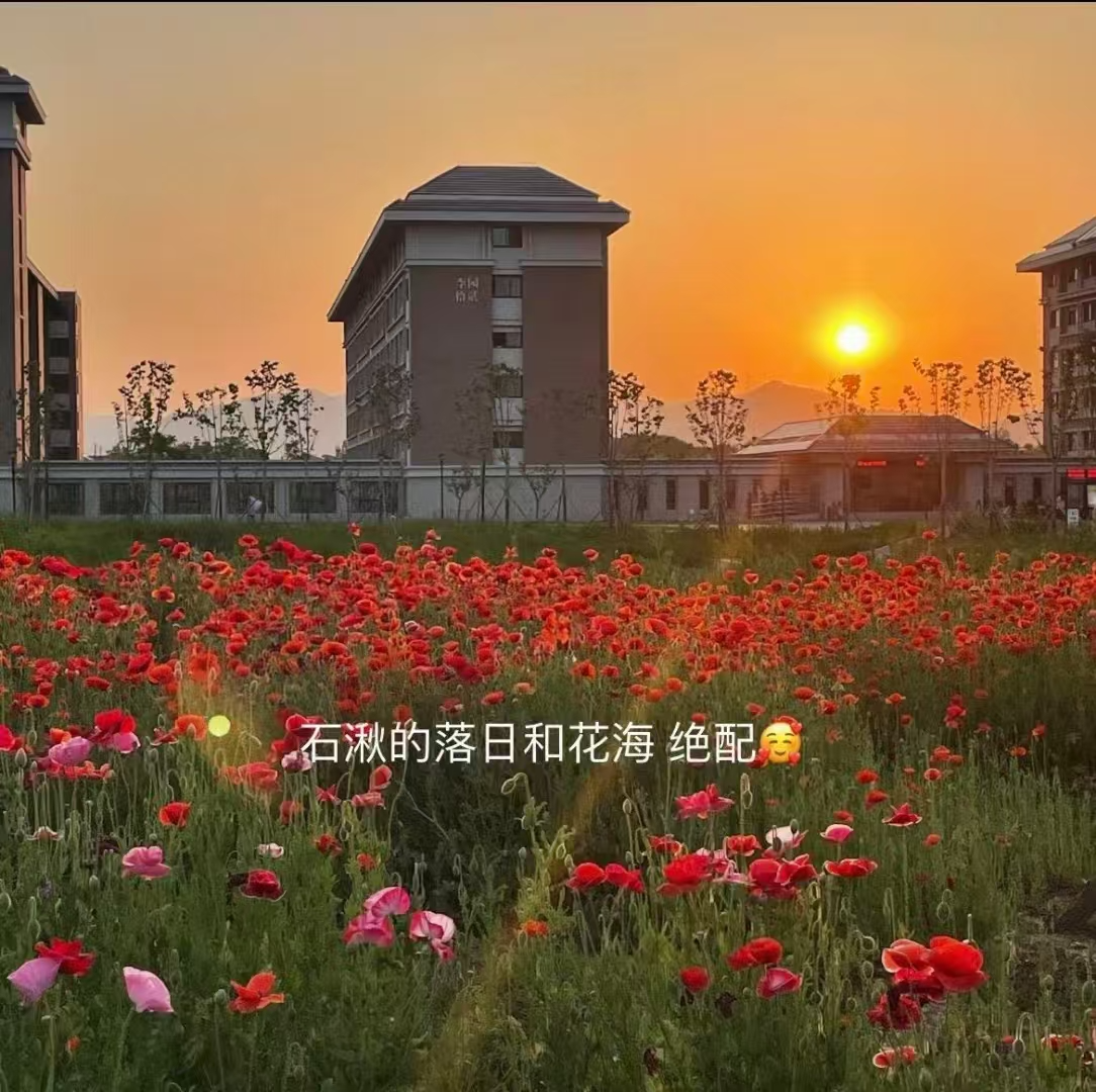 2025-05-19T06:07:14.png