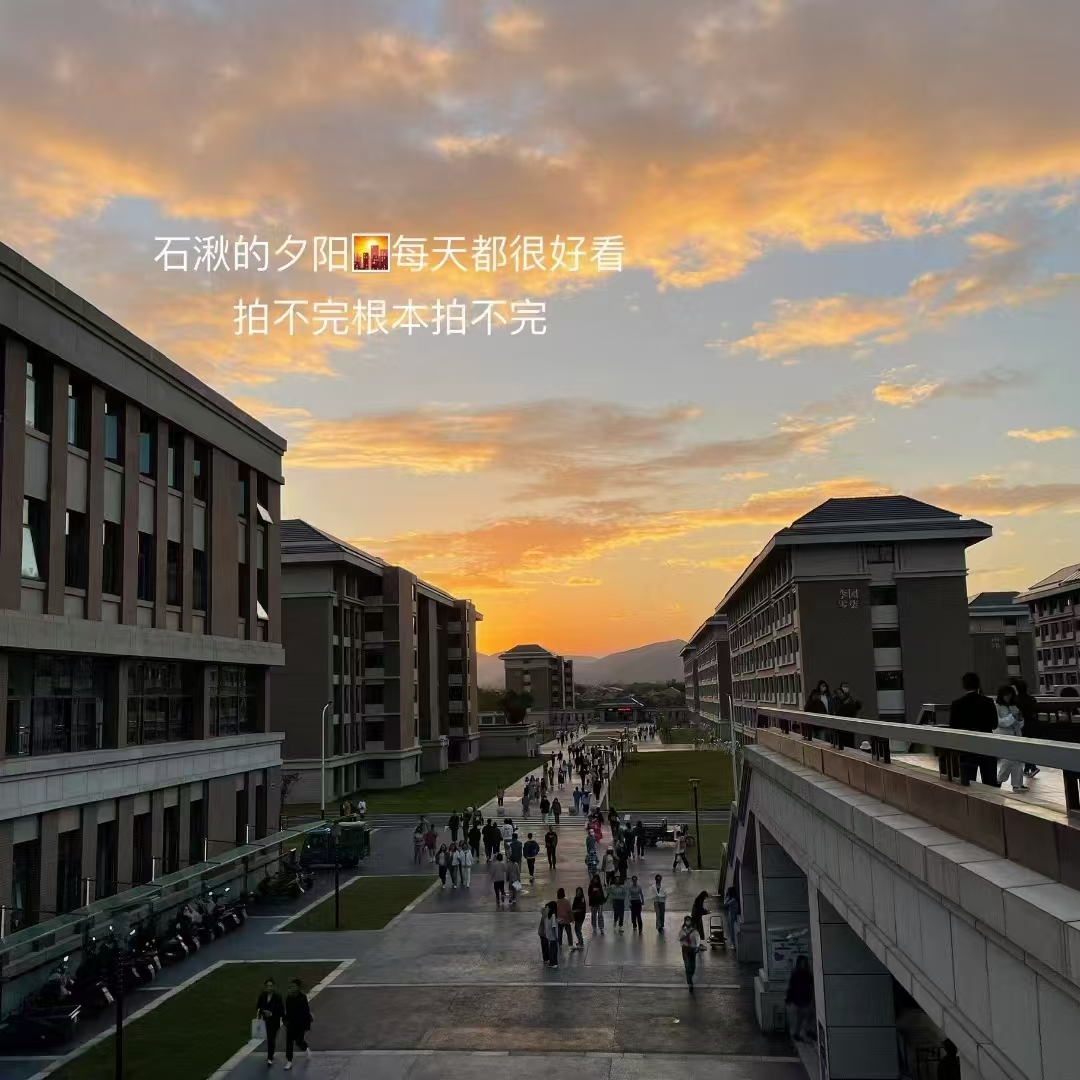 2025-05-19T06:07:24.png