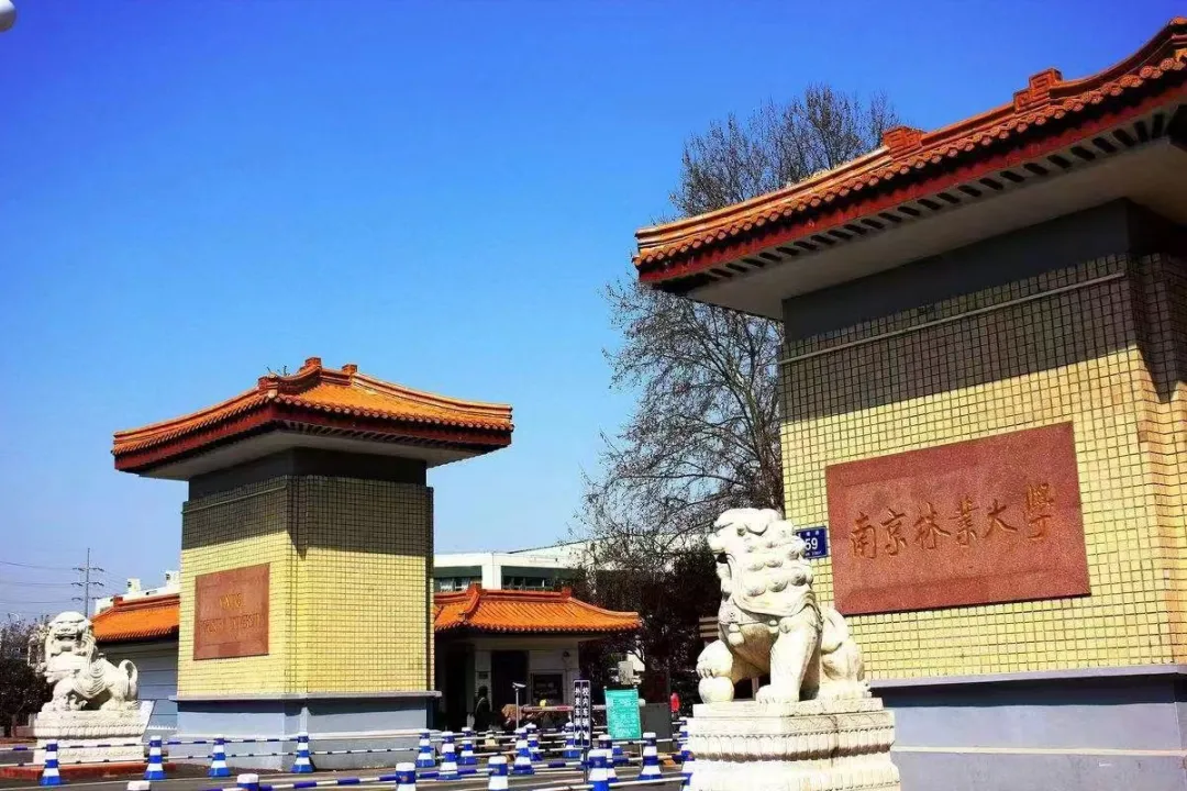 2026年南京林业大学专接本招生简介！