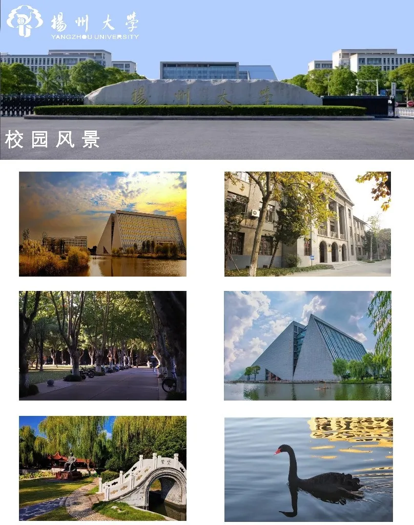 2026-06-24T06:30:28.png